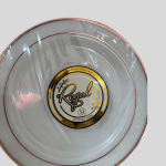 Maryland Plastics Regal collection 10.25 inch 100 pieces Plastic Dinner Plates with a Silver-colored trim. 12Pcs