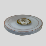 Maryland Plastics Regal collection 10.25 inch 100 pieces Plastic Dinner Plates with a Silver-colored trim. 12Pcs