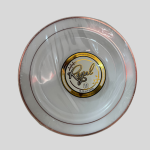 Maryland Plastics Regal collection 10.25 inch 100 pieces Plastic Dinner Plates with a Silver-colored trim. 12Pcs