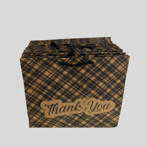 Thank You kraft Paper Gift Bag (50 pieces)